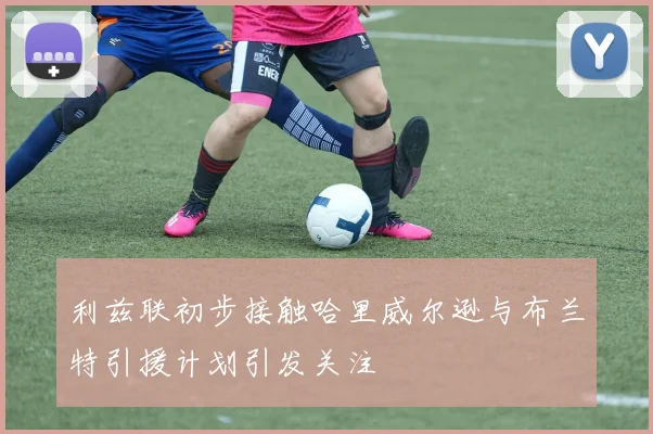 利兹联初步接触哈里威尔逊与布兰特引援计划引发关注